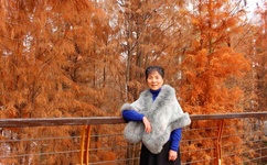 美女被打光屁屁